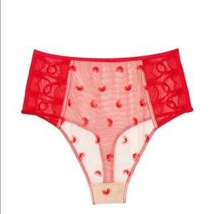New Victoria Secret High Waist Mesh Heart Panty